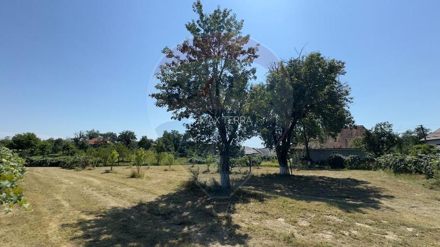 Casa cu teren De Vanzare in Ariesul de Padure - 7