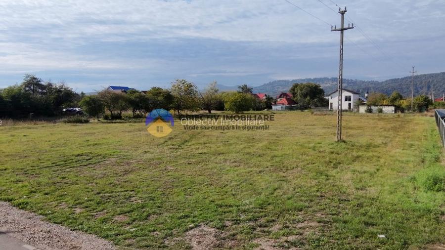 Teren de vanzare 1800 mp – Dumbrava Rosie - 9