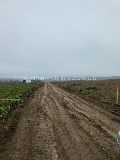 Loturi de teren acces DN26 -11e /mp - 5