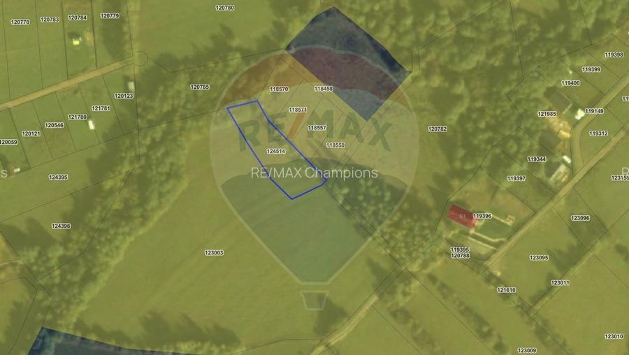 Teren intravilan | Panorma Bucegi, Magura, P. Craiului - 6