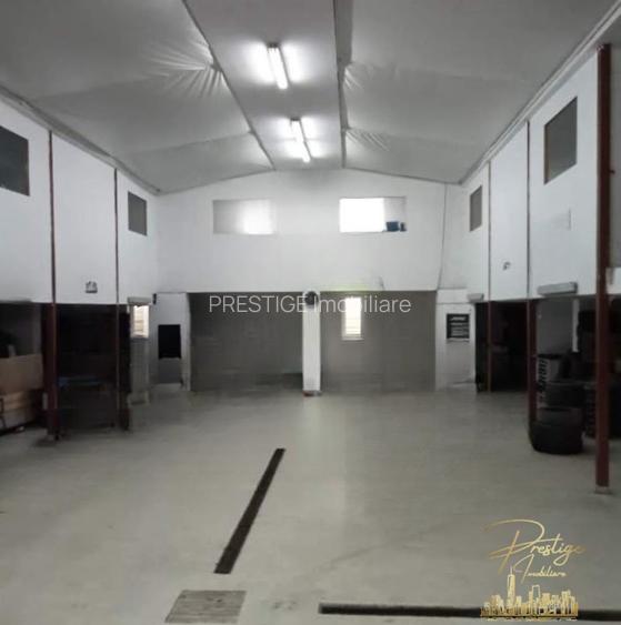 Hala Industriala Service Auto 758 mp de vanzare, zona str. Fabricilor - 12