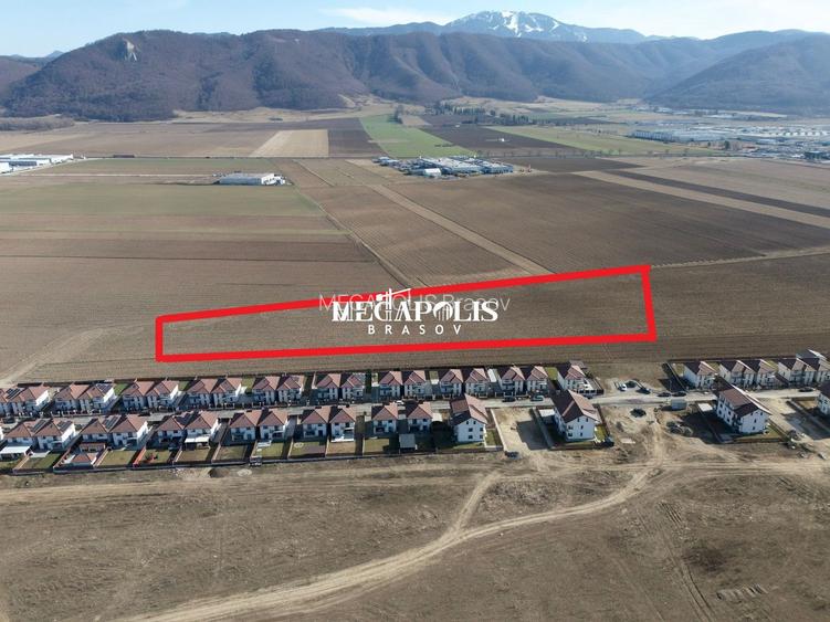 Teren 12.500 mp Ghimbav – Cartierul Florilor | Ghimbav - 6