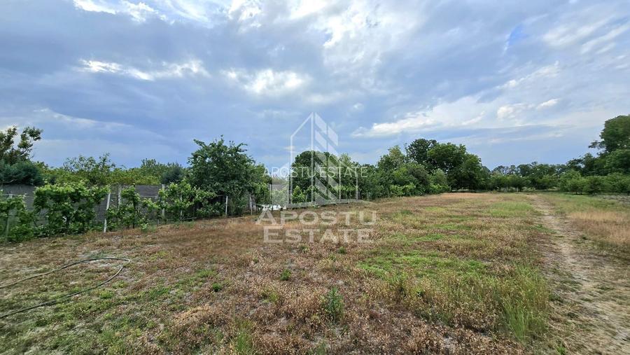 Casa Individuala Dragsina, Teren 2600 Mp - 23