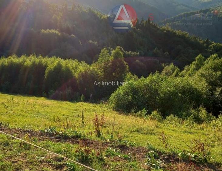Teren intravilan cu priveliste superba catre munti, Moeciu de Jos - 16