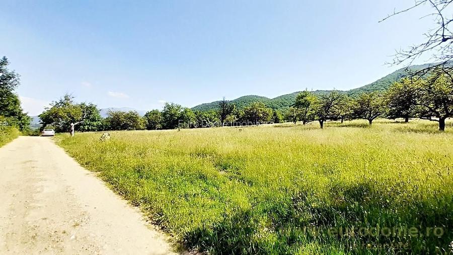 Teren superb in Bran la 5 min de Castel, 37 euro/mp. - 4