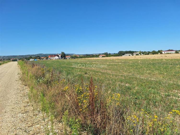 Reco, Teren intravilan Osorhei - 4