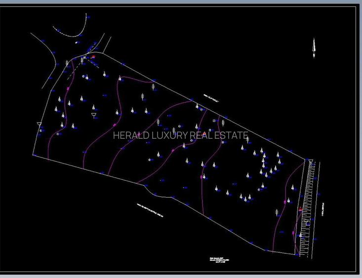 Vand teren LAC Neptun-Central- LOCATIE DE EXCEPTIE- - 4