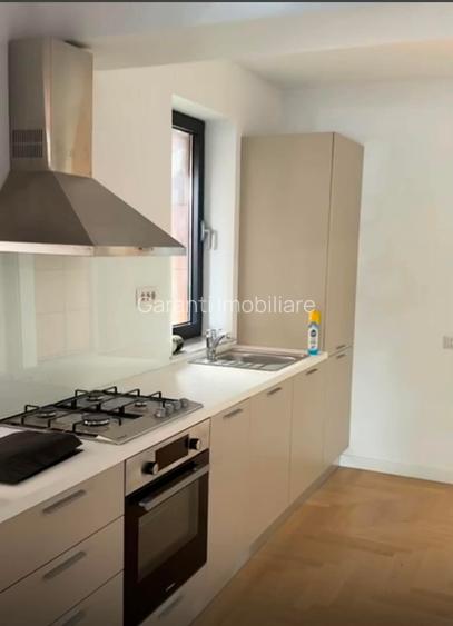 Calea Floreasca , parter + 120 mp curte - 9