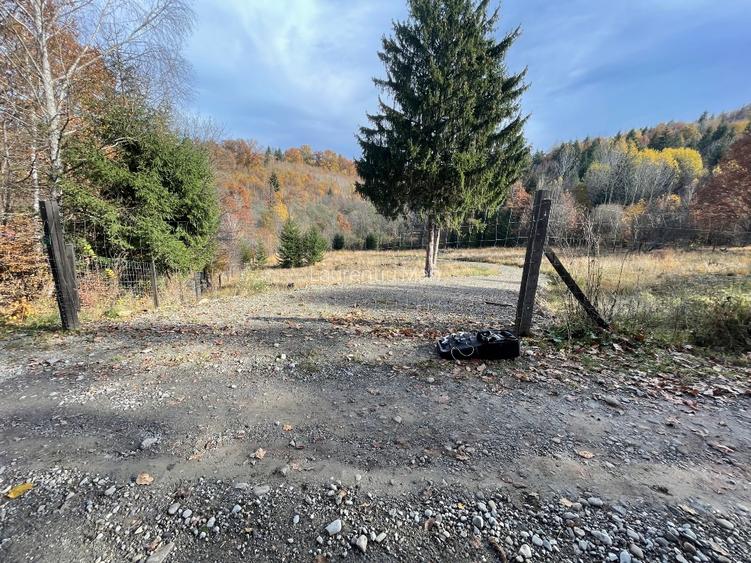 Teren Intravilan La Izvoare - 6