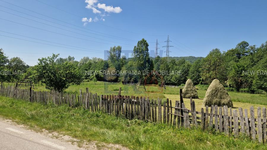 Teren de vanzare in judetul Arges, localitatea Arefu  - 5