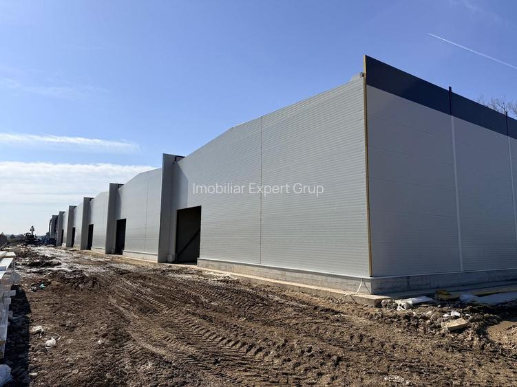 7 hale noi 2026 Afumati- Petrachioaia - 11