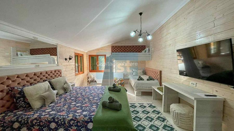 Casa de vacanta superba in Crivaia - 8