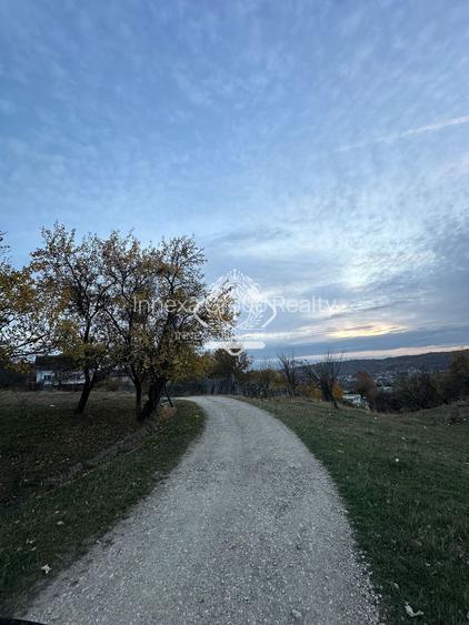 Teren 7199mp Intravilan cu Vedere Panoramica Superbă, Ideal Investitie - 22