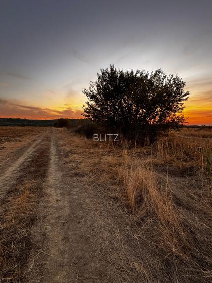 Teren extravilan 5000 , 2,5 euro mp BREASTA - 4