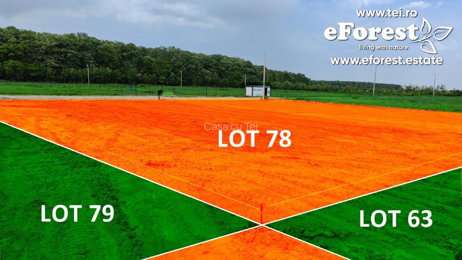 Loturi de casă între 2 păduri, cu intrare din DN, eForest, după Buftea - 2