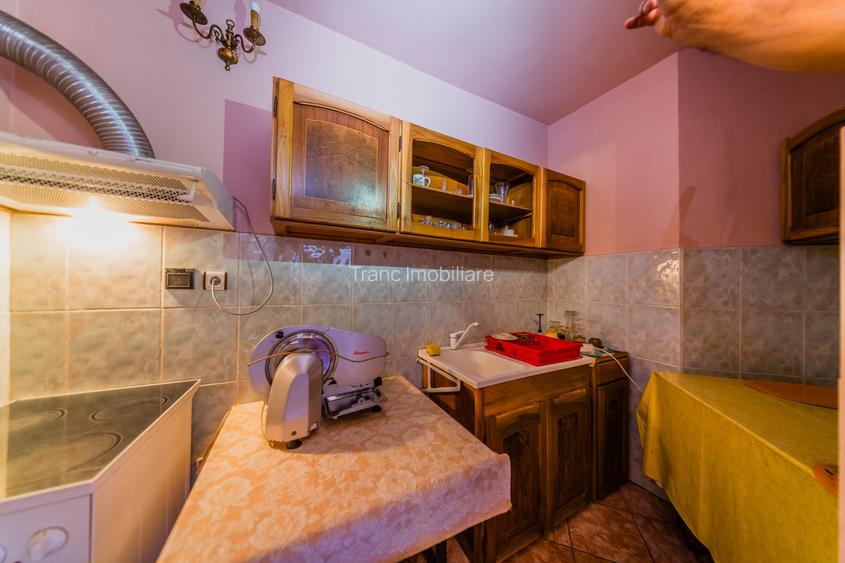 Vilă impunătoare cu arhitectură elvetiană pe 3 nivele - proprietar - 8