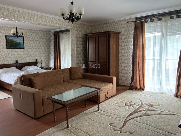 Vand Hotel cu restaurant  si piscina - 7