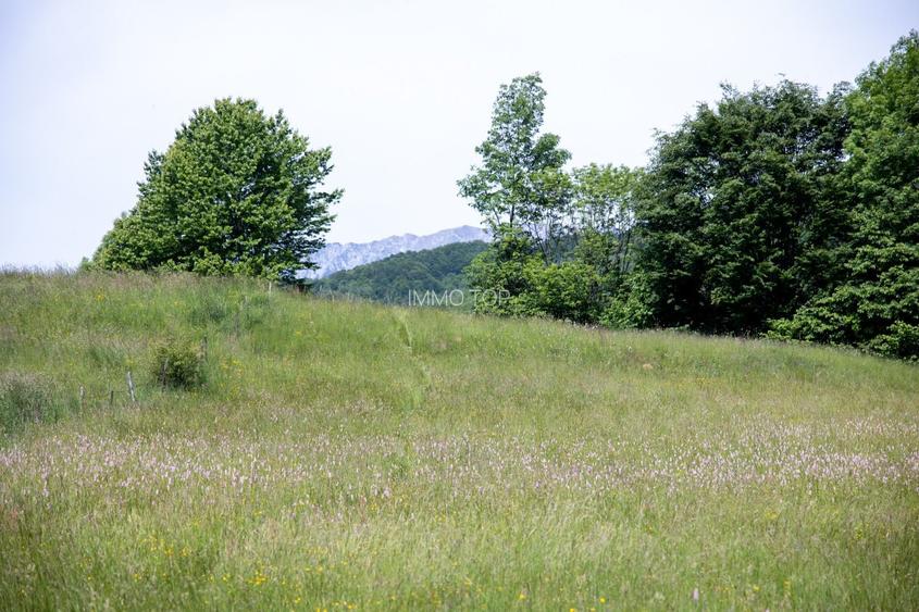 Teren intravilan - 1.050 mp în Bran cu utilitati – priveliște Bucegi - 3