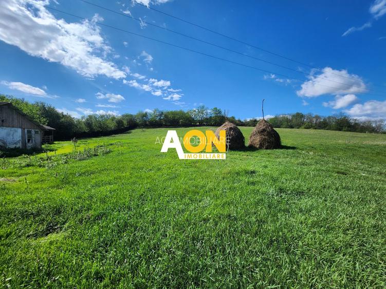 De vanzare 2965 mp teren intravilan, toate utilitatile, Oarda de Sus - 3