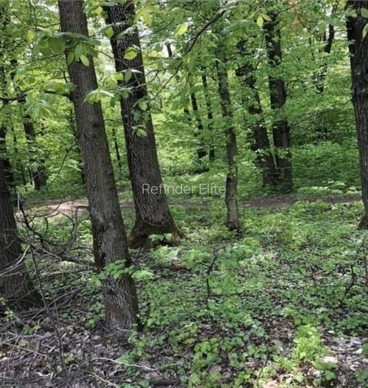 Vanzare teren intravilan 600 mp | ideal investitie | Baneasa | - 3