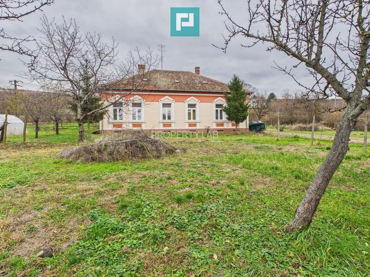 CONAC IMPRESIONANT ÎN GHIOROC - 55