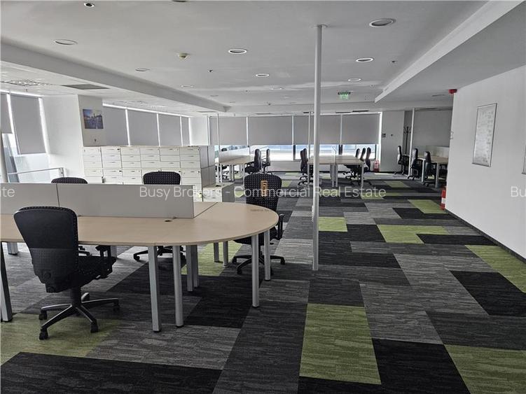 Spatii Birouri - 500 la 3500 mp - Parcul Sub Arini - 19