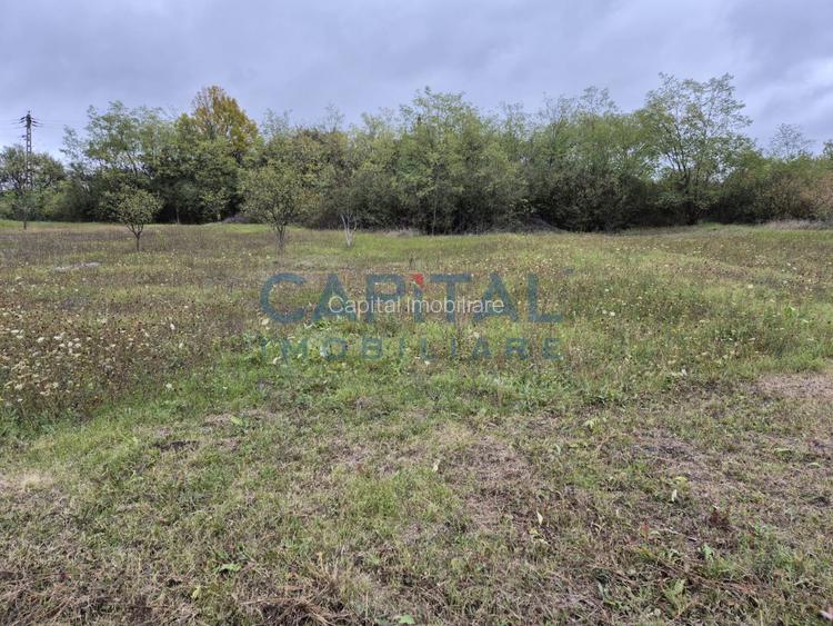 Oportunitate de investitie! Teren extravilan 11 400 mp, Apahida - 3