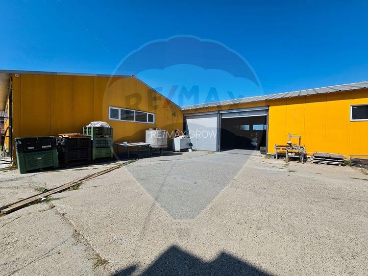 Hale Industriale 5065 mp de vanzare Str. Bradului - Bacau - 21