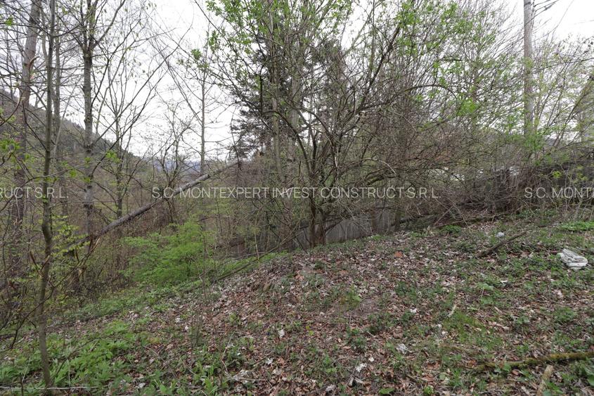 Teren 1346 mp cu utilități, lângă Castelul Peleș și Parcul orașului - 2