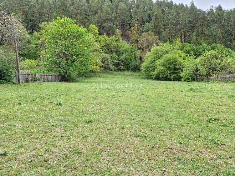 Teren intravilan 2936 mp. Bistrița jud Neamt - 4