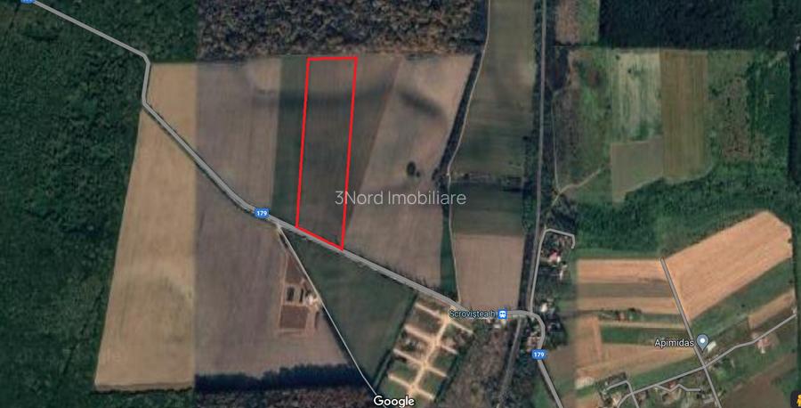 SCROVISTEA, TEREN INTRAVILAN, 3,5 HA – 75 ML FRONT STRADAL + 75 ML LA PĂDURE - 2