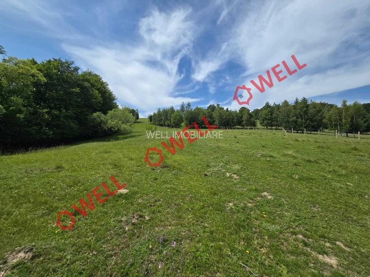 De vânzare teren intravilan în localitatea Scrădoasă! - 7