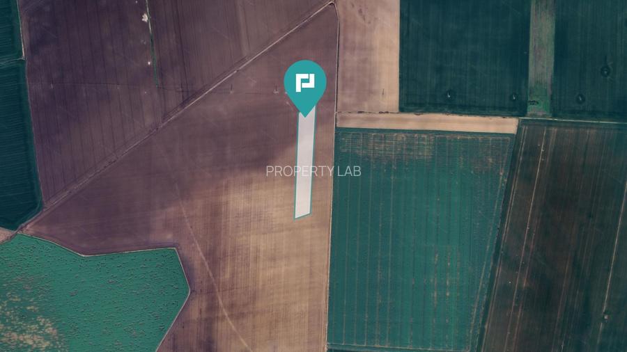 Teren 36.000 mp în Peciu Nou - 2