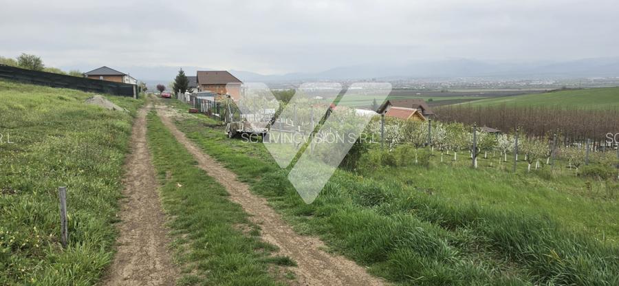 Investitie - Teren intravilan 536 mp Sura Mare ideal construcții - 3