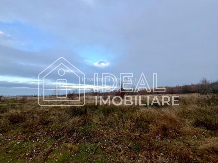 Teren extravilan 6.500 mp – Cârțișoara | Comision 0% - 5