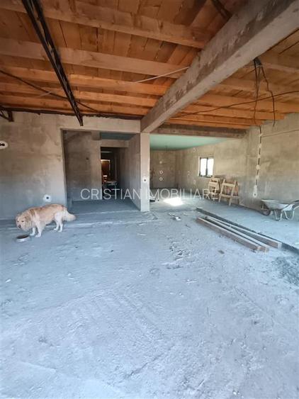 Vila P+M, 2022 Radu Negru-Vizirului Sup construita=400mp,  Teren 512 mp - 16