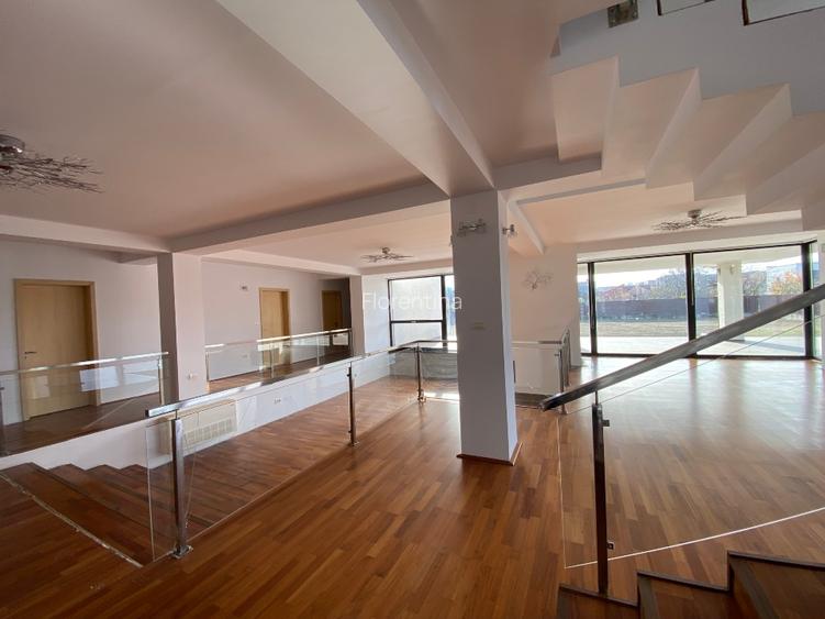 Proprietate premium reprezentativă cu utilizare mixtă, 650 mp si teren 3000 mp - 6