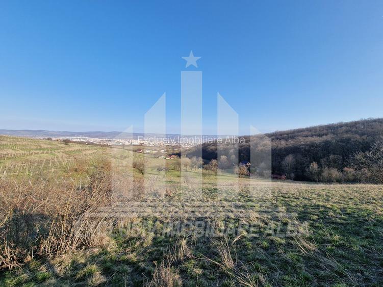 Teren intravilan | De vanzare | 1808 mp | 18 ml deschidere | Seigau - 4