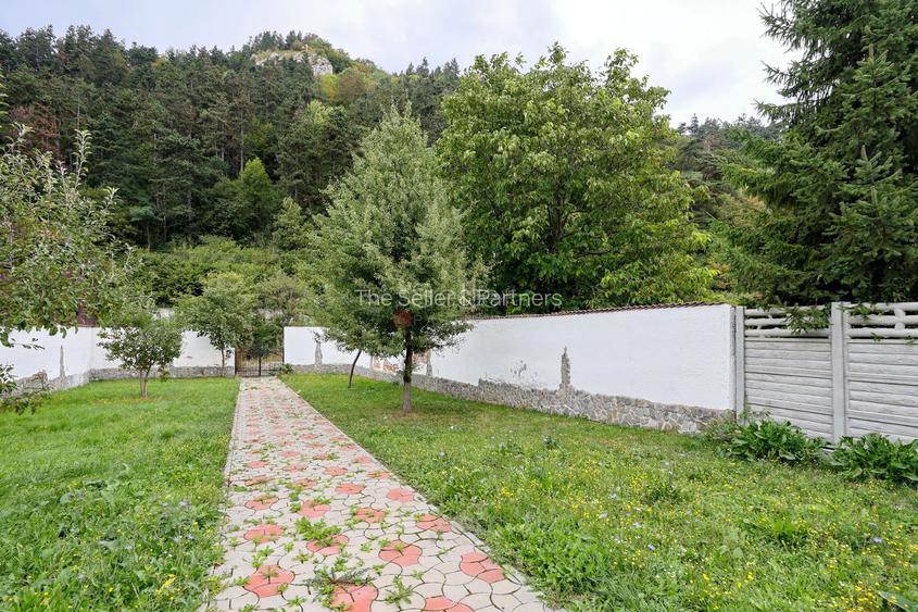 Proximitate imediata fata de Castelul Bran - 46