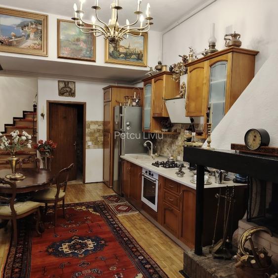 COTROCENI - Aici a visat și a creat pictorului Zamfir DUMITRESCU - 5