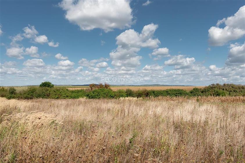 Teren intravilan in Rontau - 2