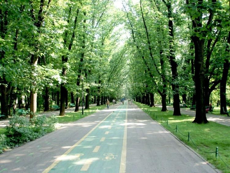 Teren unic zona Kiseleff - 2