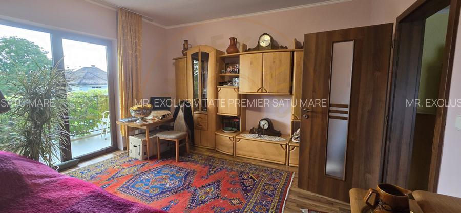 De Vânzare Casă zona Lucian Blaga Satu Mare - 18