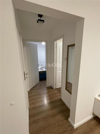 Inchiriere apartament 2 camere Cantemir - 8