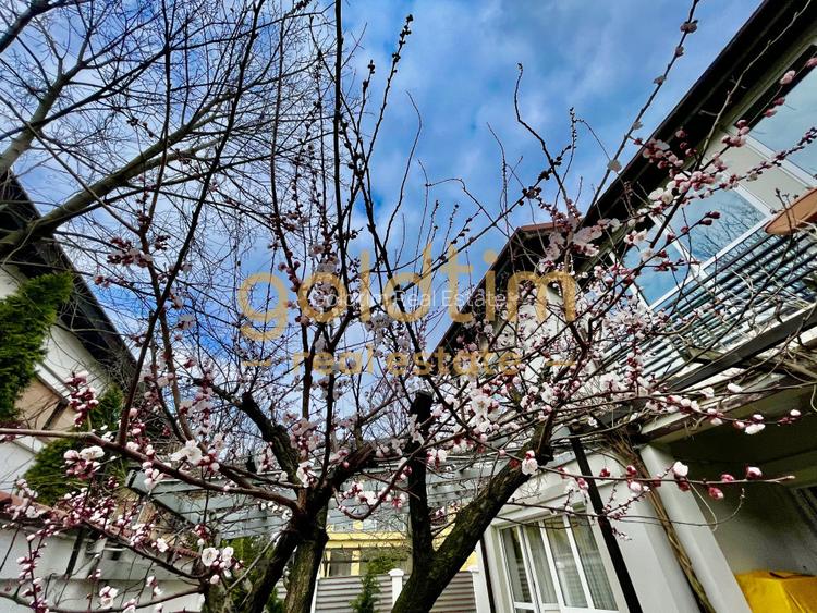 IANCU NICOLAE/ GRADINA SUPERBA/LOCURI DE PARCARE/SPATII GENEROASE - 43