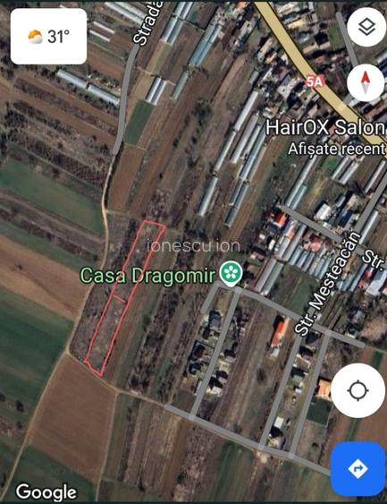 Teren intravilan Adunații Copaceni  - 2