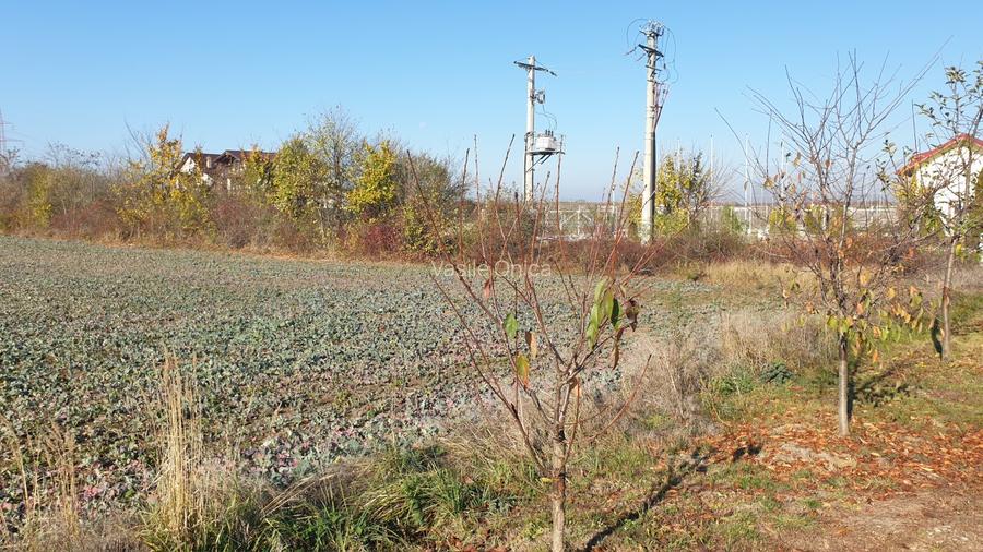 Balotesti teren intravilan 14036 mp Arc padurea Codrii Vlasiei - 8