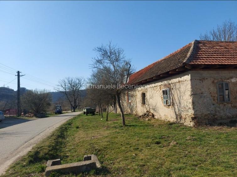 Casa Goruia cu teren,gradina,livada de pruni si pădure  - 6