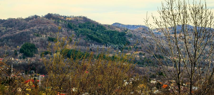 Teren Breaza 2623mp , pot 35% , cut 1,2 conform cert urb.intravilan - 3