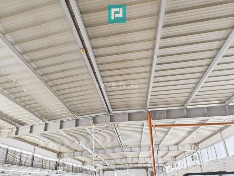 Hală cu teren intravilan de 3500 mp, în Sebiș Arad - 28